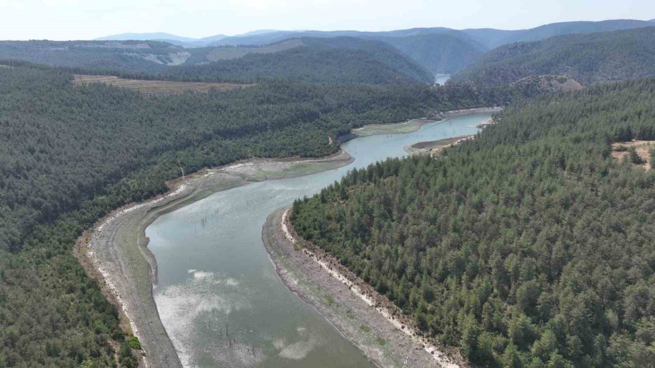 Çınarcık Barajı’nı besleyen Kocasu Deresi’nde balık ölümleri