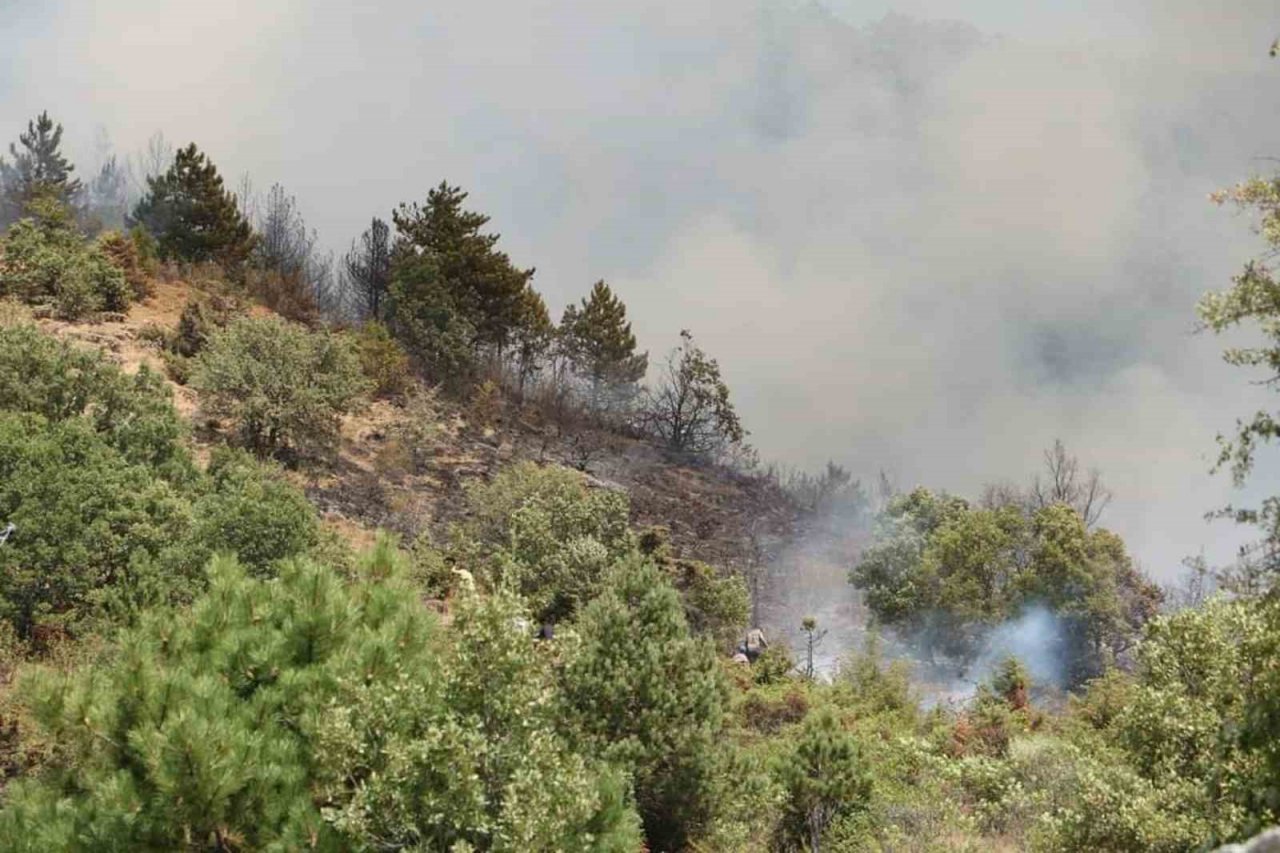 Çankırı’daki orman yangını kontrol altına alındı
