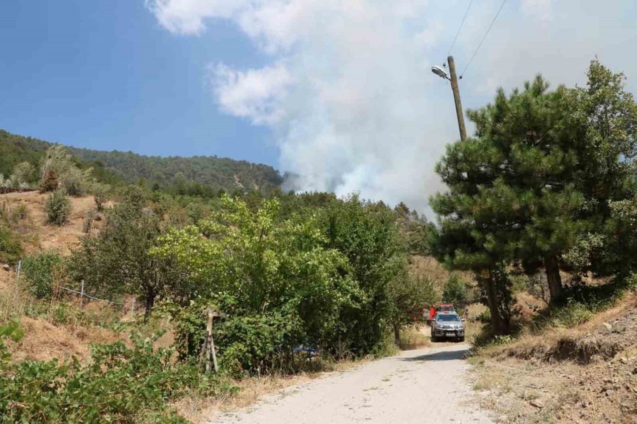 Çankırı’daki orman yangını kontrol altına alındı