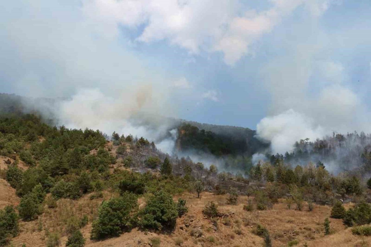 Çankırı’daki orman yangını kontrol altına alındı