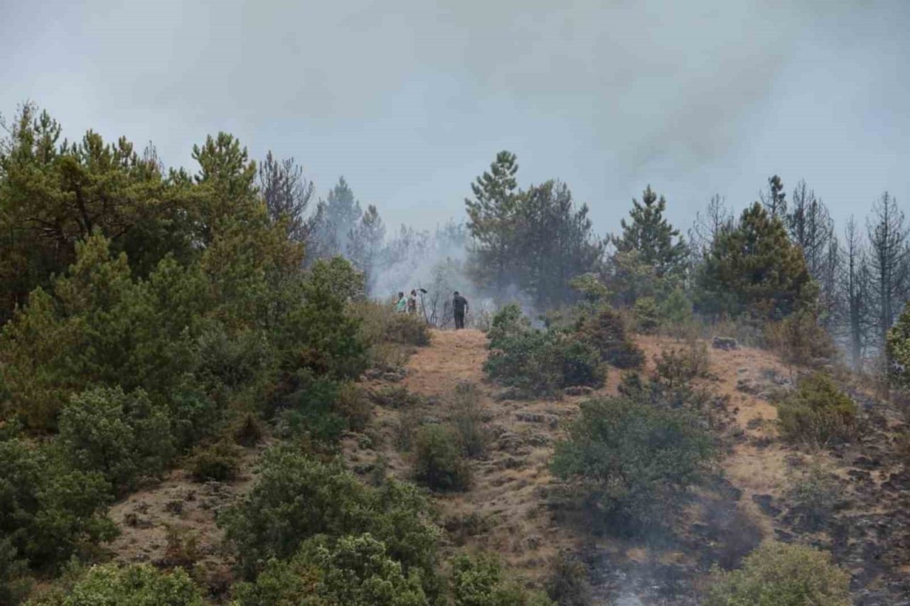 Çankırı’daki orman yangını kontrol altına alındı
