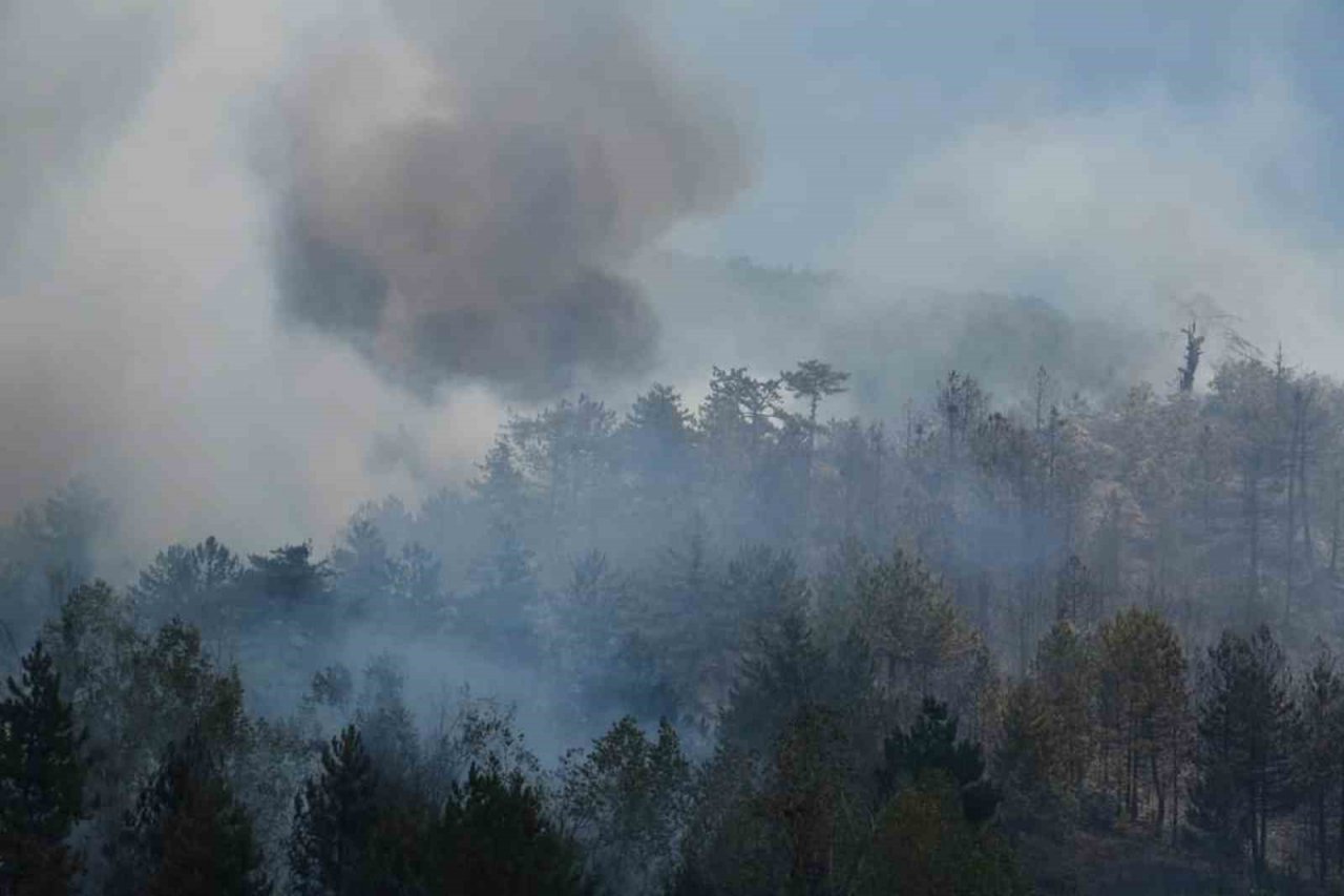 Çankırı’daki orman yangını kontrol altına alındı