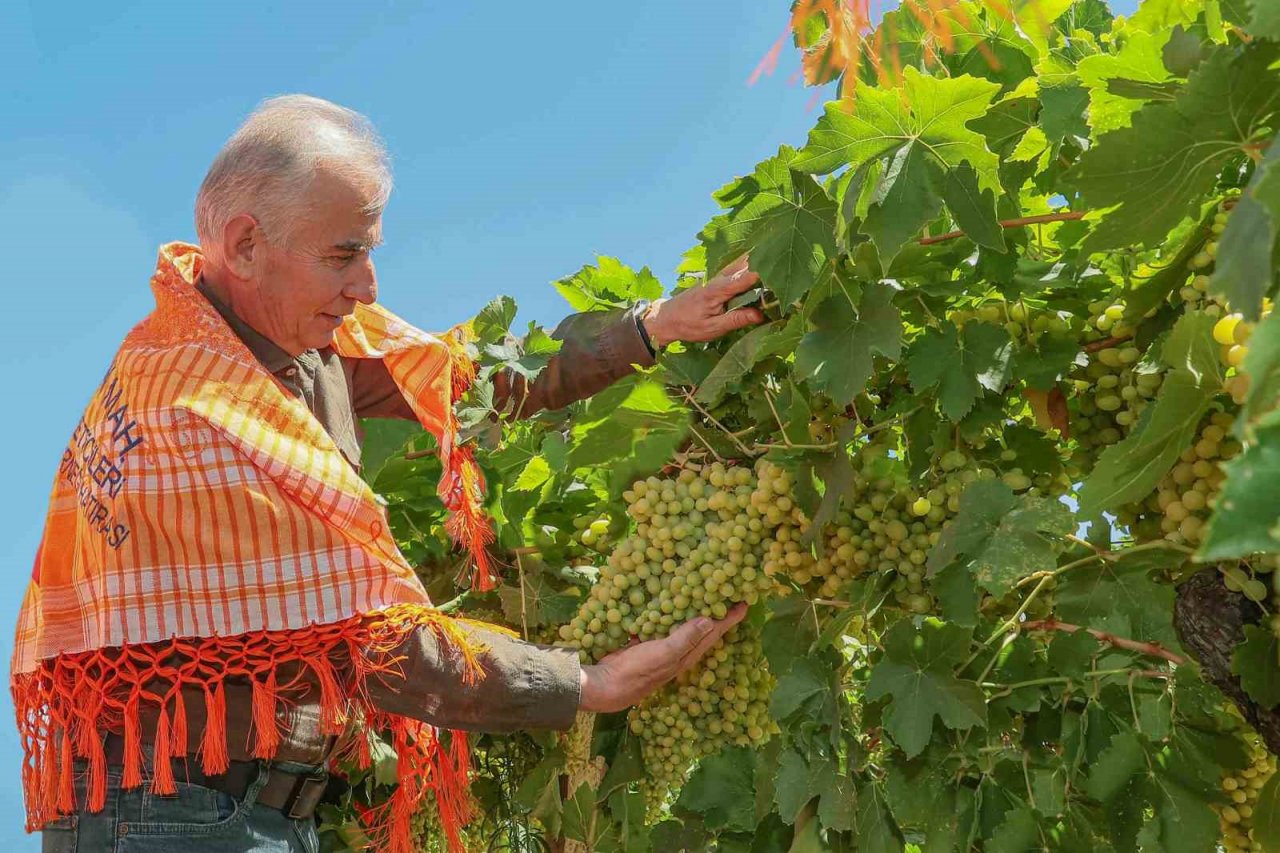 Topraklarını tanıyıp daha çok kazandılar