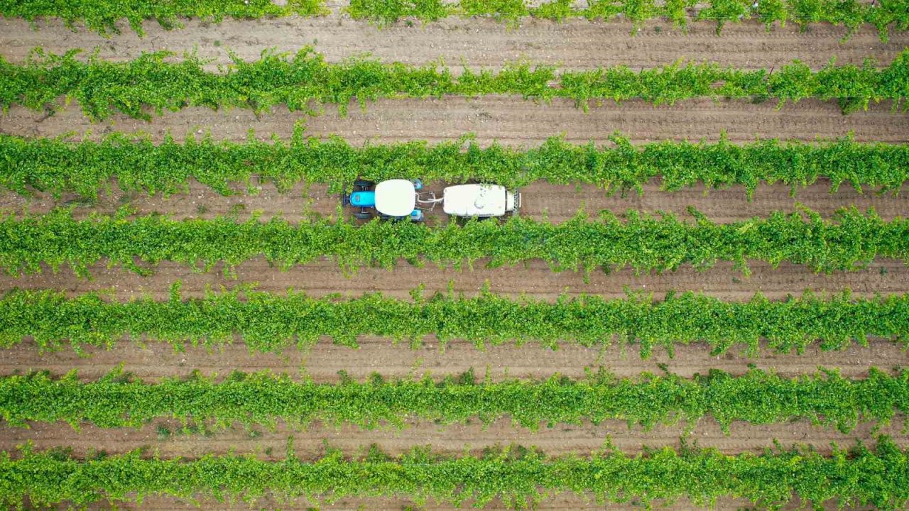 Topraklarını tanıyıp daha çok kazandılar