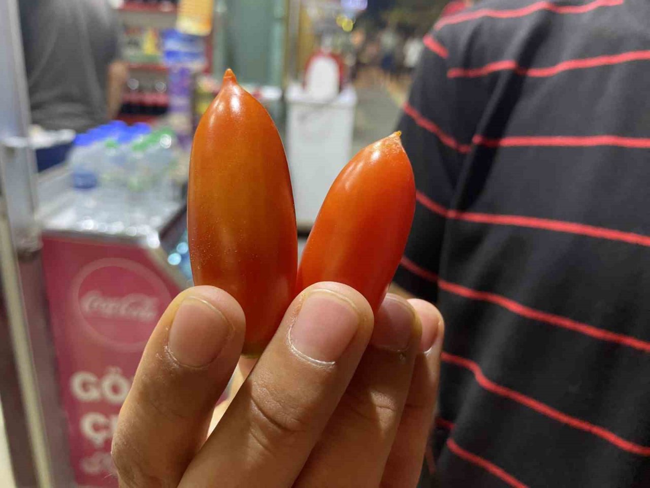 Elazığ’da biber görünümlü domatesler ilgi görüyor