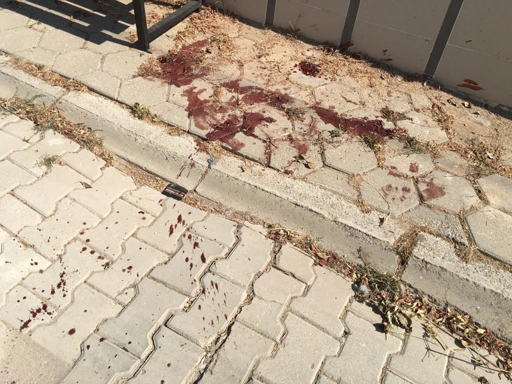 Tüfekle vurulduğu iddia edilen köpek kanlar içinde bulundu