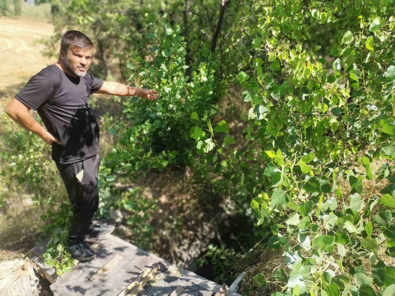 DSİ kapakları kapattı balıklar öldü