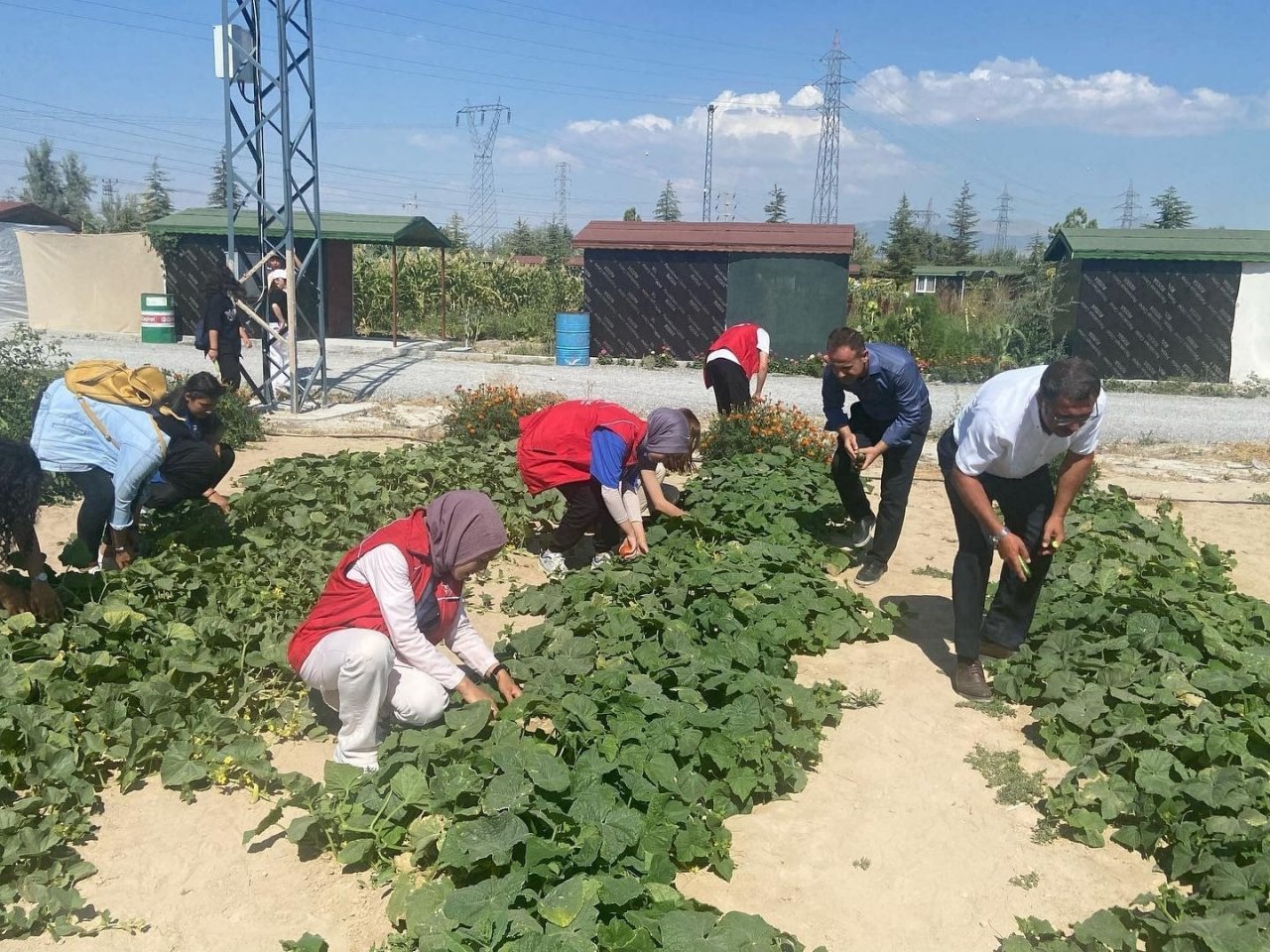 Gönüllü öğrencilerin yetiştirdiği sebze ve meyveler ihtiyaç sahiplerine ulaştırıldı