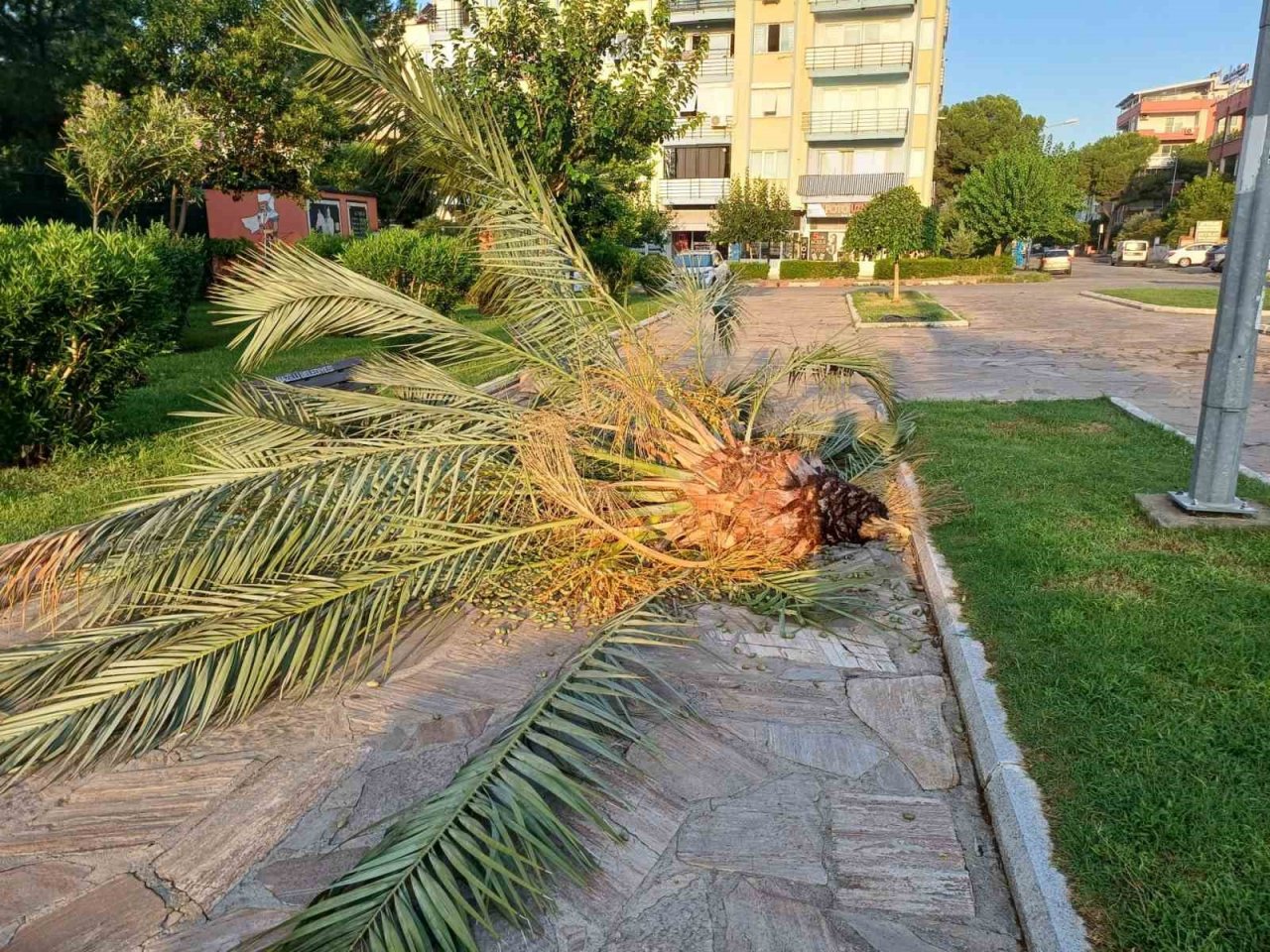 Nazilli Belediyesi selden etkilenen mahallelerde detaylı çalışmalarını sürdürüyor