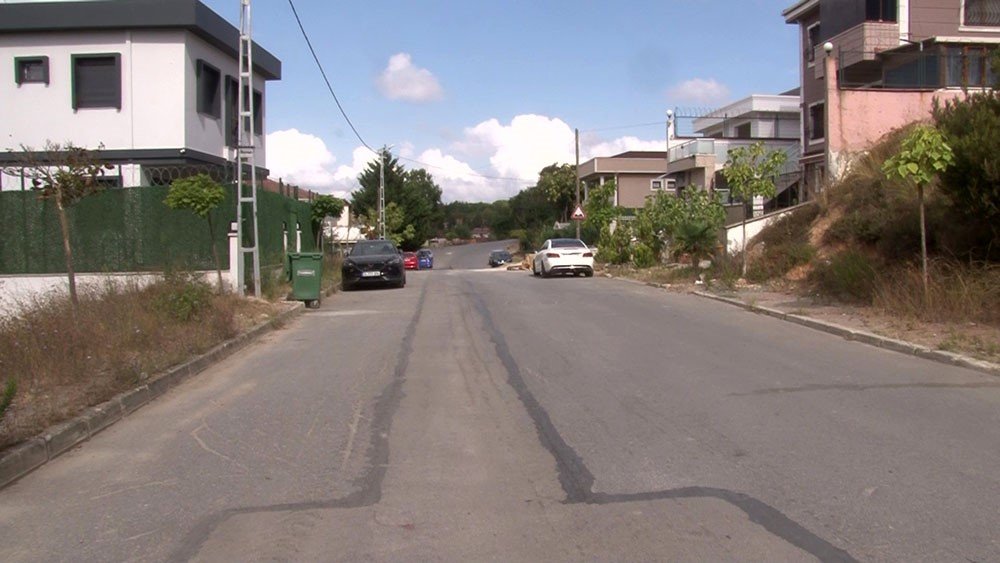 Tuzla’da özel halk otobüsü yolda yatan köpeği ezdi