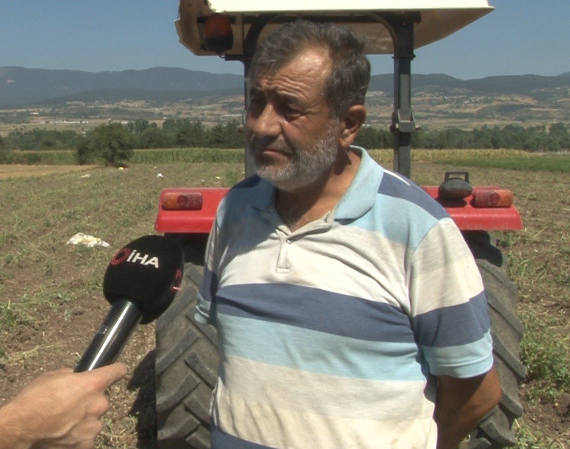 Patates diyarı Bolu’da hasat başladı