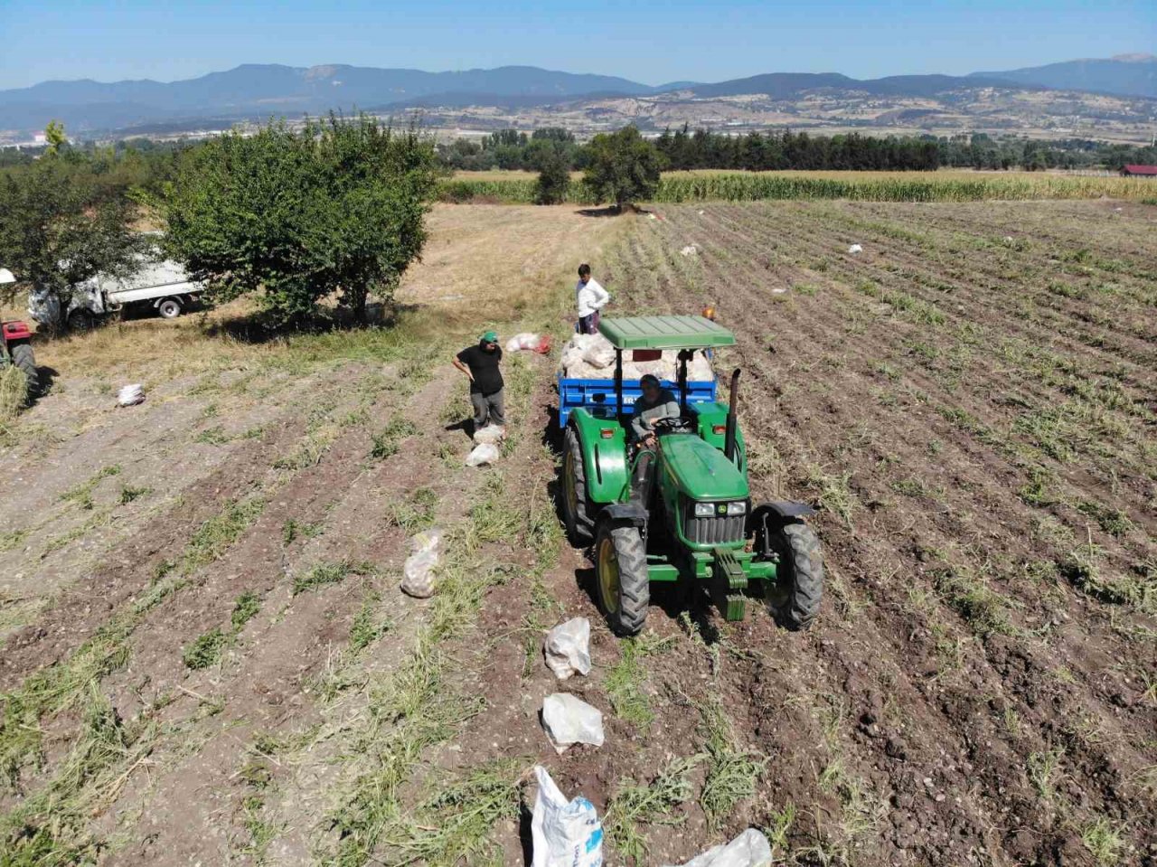 Patates diyarı Bolu’da hasat başladı