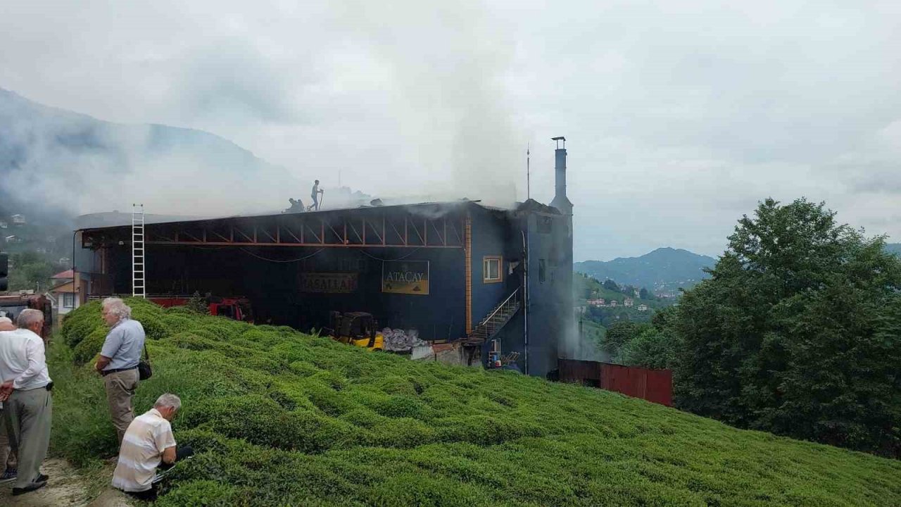 Rize’de çay fabrikasında yangın çıktı