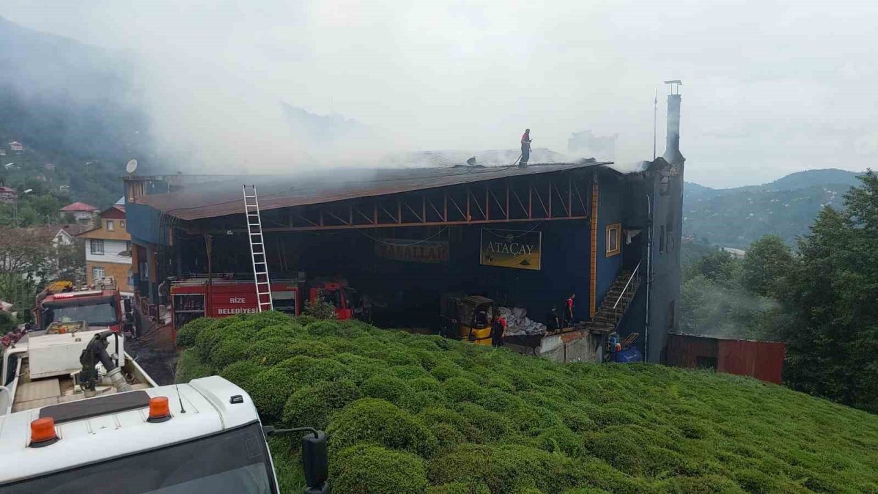 Rize’de çay fabrikasında yangın çıktı