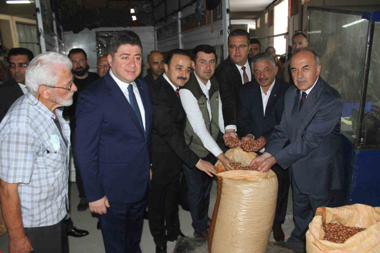 TMO Ordu’da fındık alımlarına başladı: İlk fındık 90 liradan satıldı