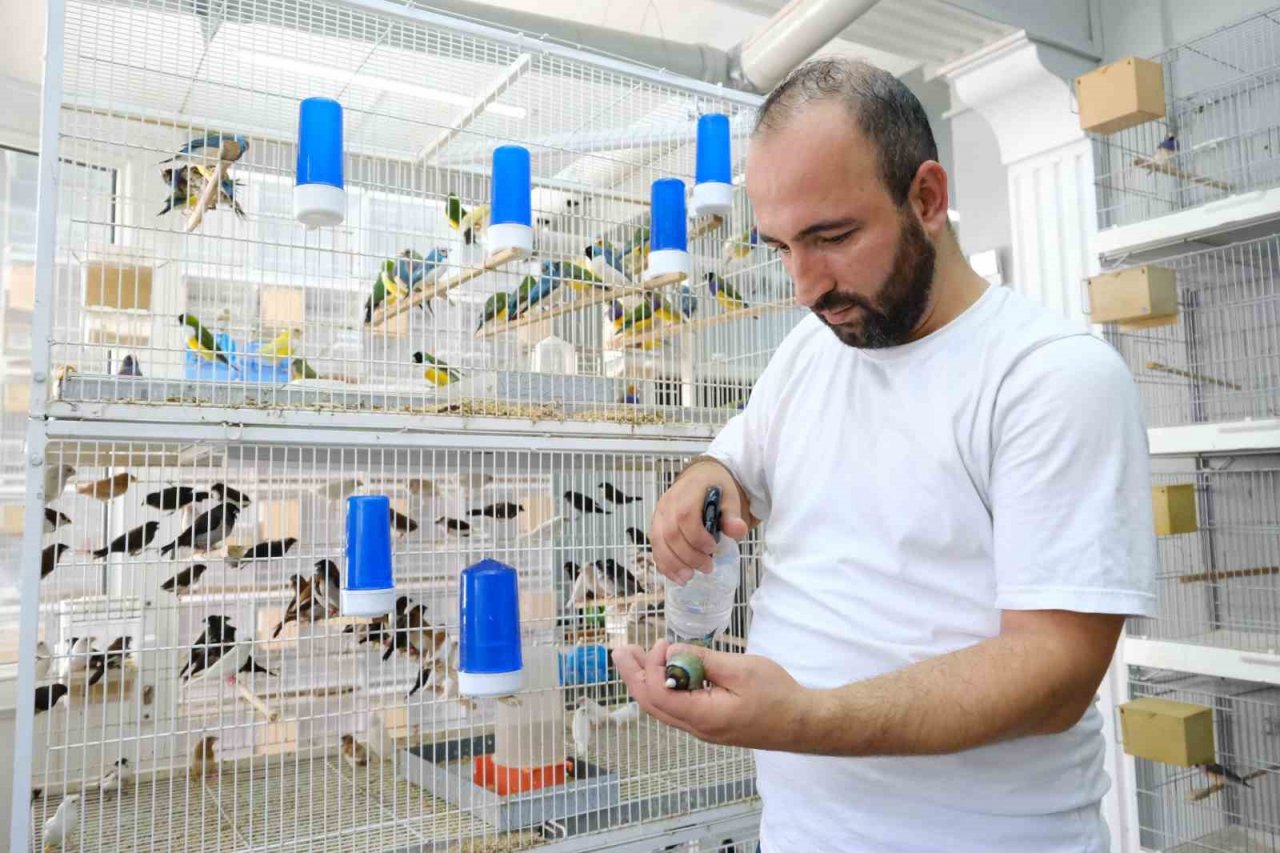 Aşırı sıcaklarda egzotik kuşlar günde 2 kez banyo yaptırılıyor