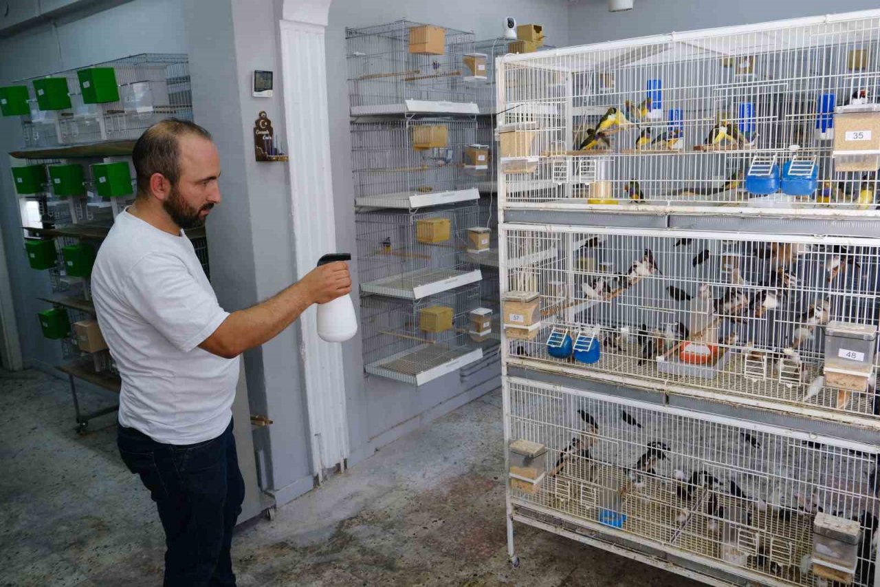 Aşırı sıcaklarda egzotik kuşlar günde 2 kez banyo yaptırılıyor