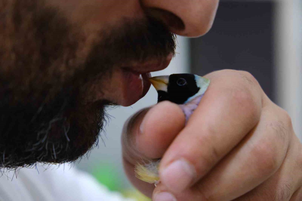 Aşırı sıcaklarda egzotik kuşlar günde 2 kez banyo yaptırılıyor