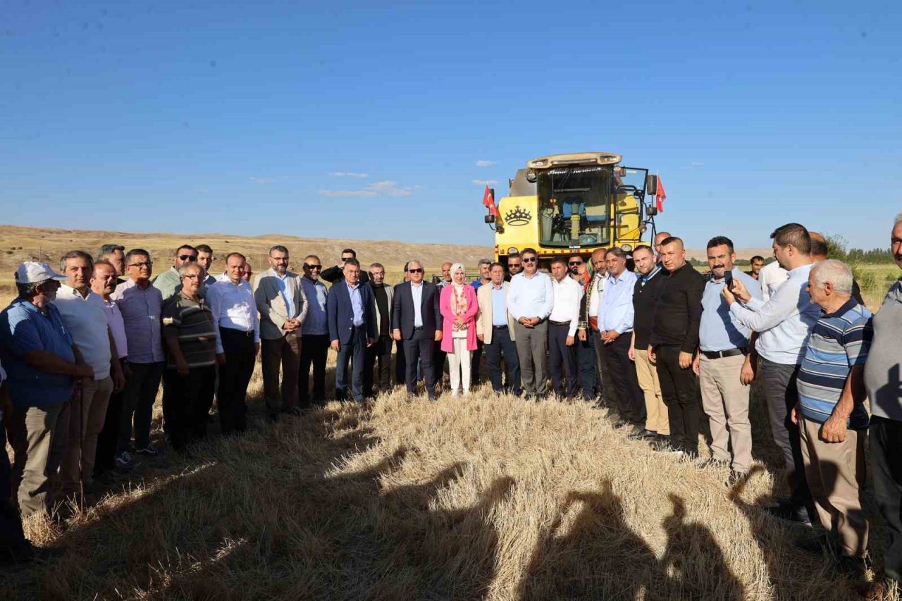 Metruk bir evde bulunmuştu, 150 ton rekolte bekleniyor