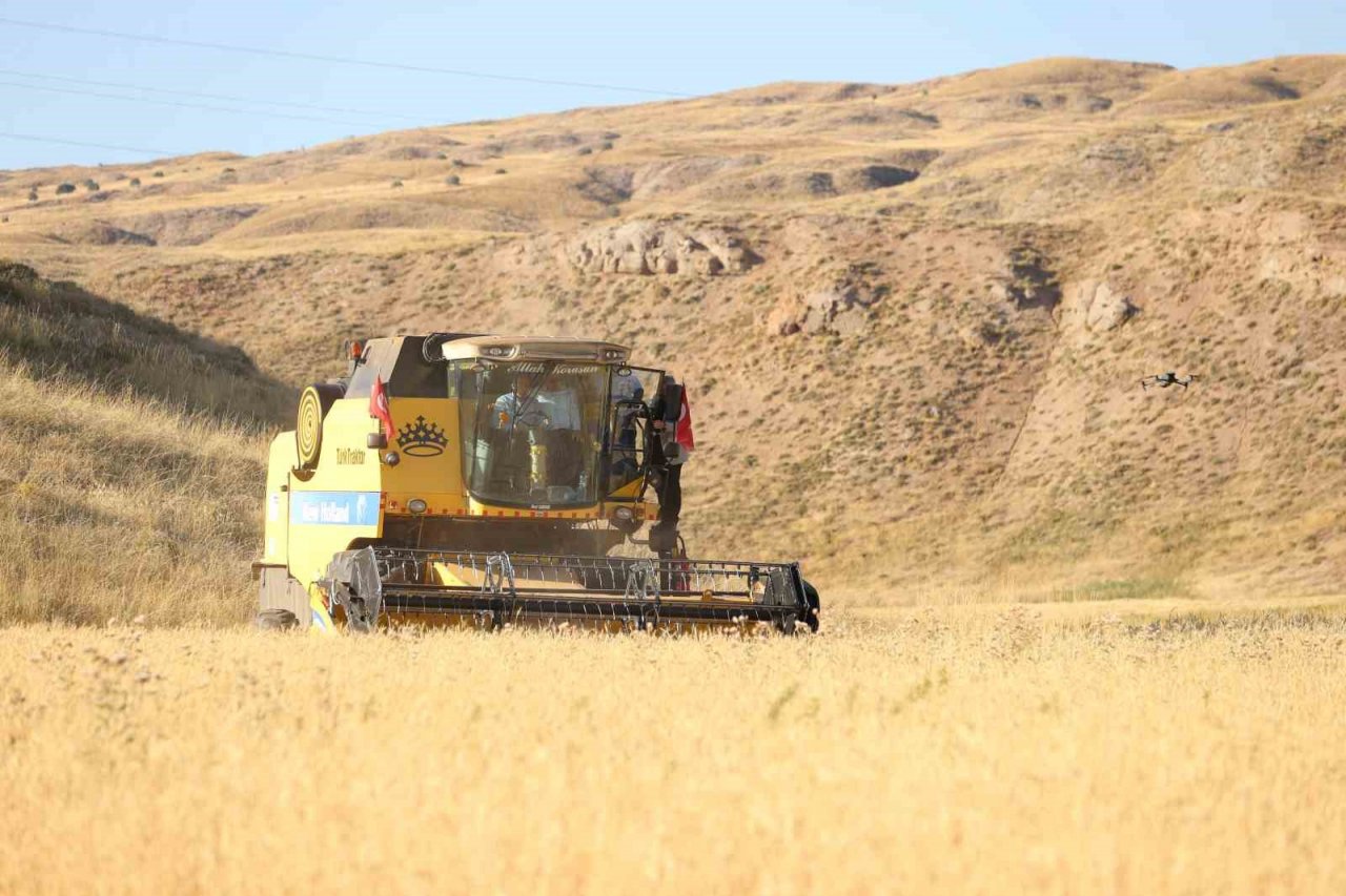 Metruk bir evde bulunmuştu, 150 ton rekolte bekleniyor