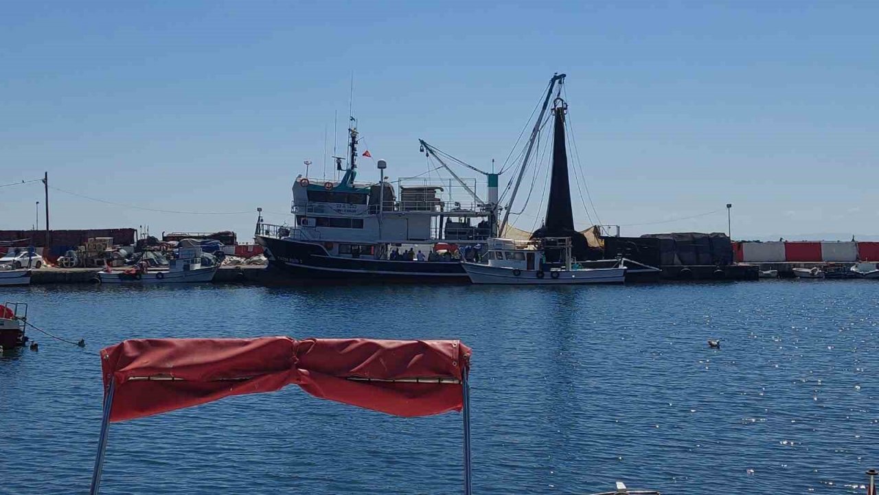 Av yasağı kalkıyor: Palamuttan haber yok