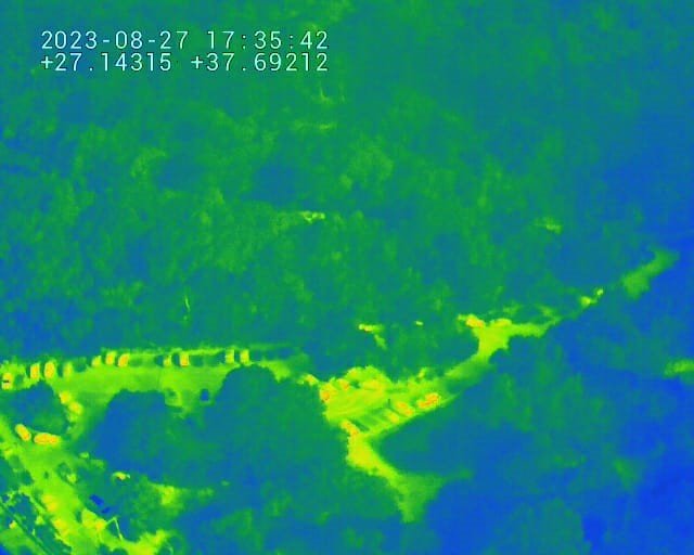 Ormanların koruyucu kartalları iş başında