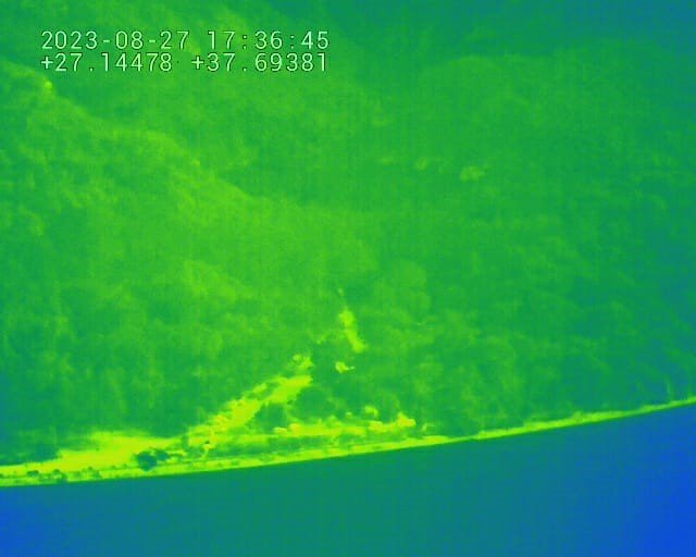 Ormanların koruyucu kartalları iş başında