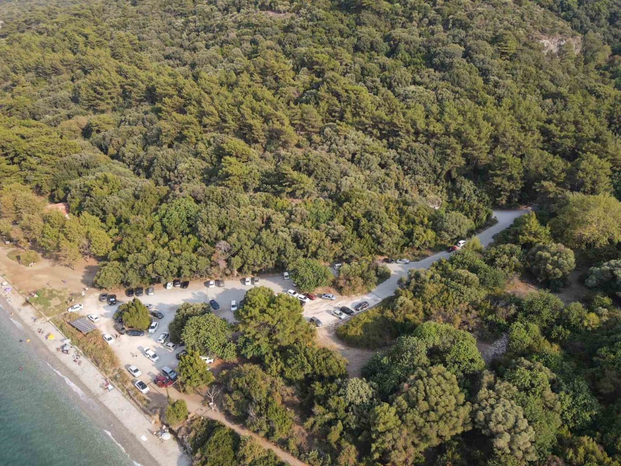 Ormanların koruyucu kartalları iş başında