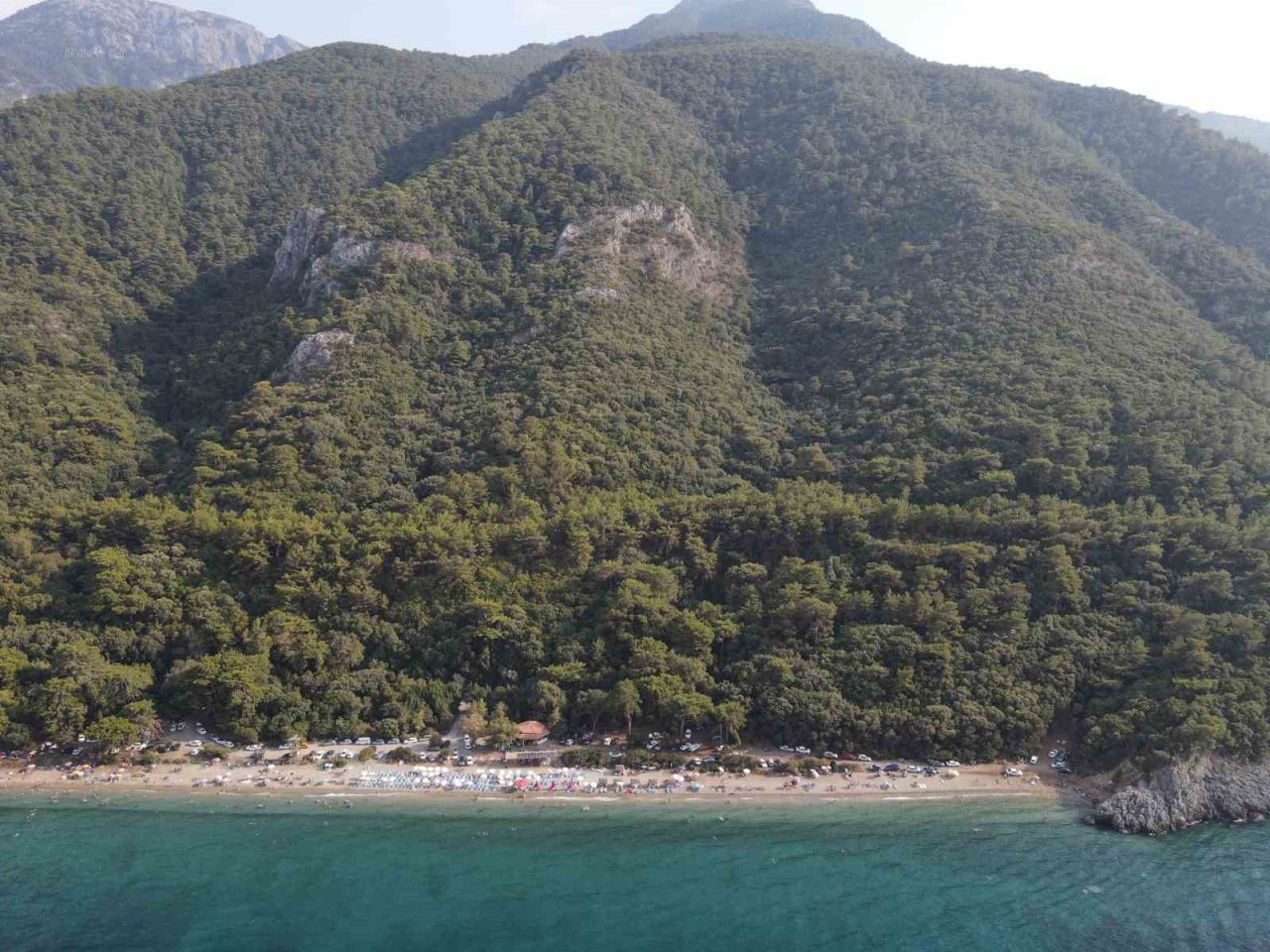 Ormanların koruyucu kartalları iş başında