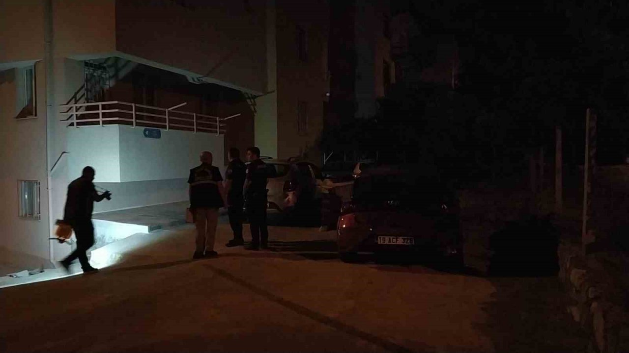 Apartman bahçesinde tabanca ve dolu şarjör bulundu