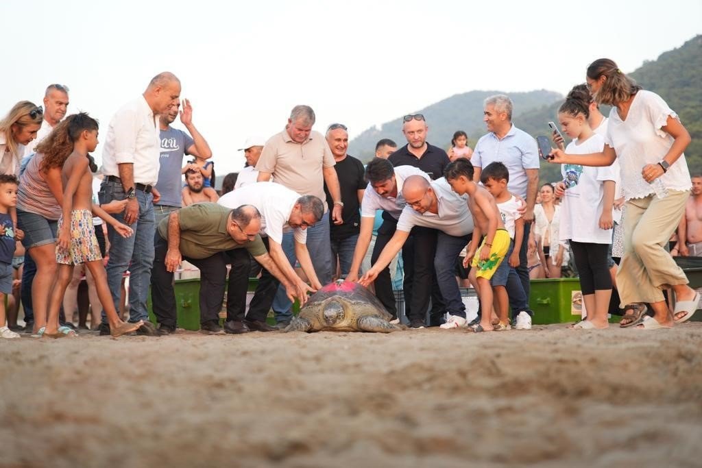 Tedavi edilen 8 kaplumbağa, Cumhuriyetin 100. yıllında denize bırakıldı