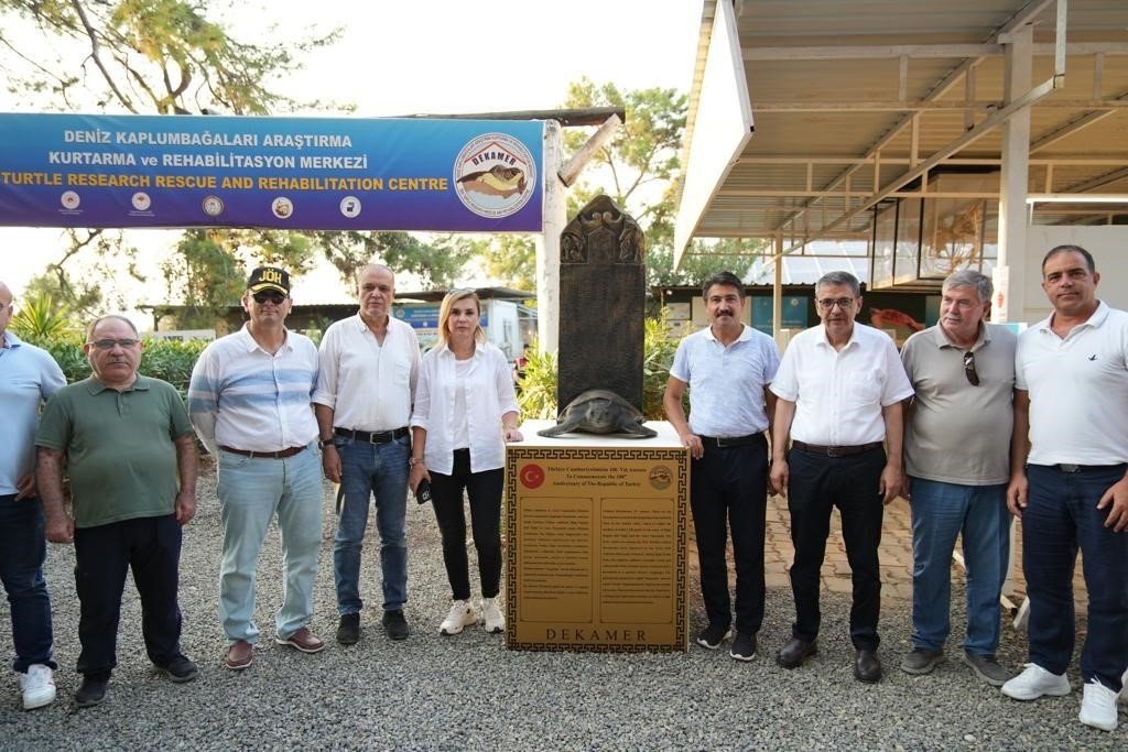 Tedavi edilen 8 kaplumbağa, Cumhuriyetin 100. yıllında denize bırakıldı