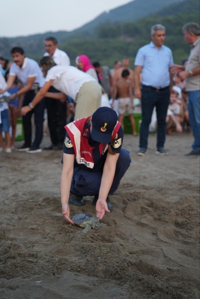 Tedavi edilen 8 kaplumbağa, Cumhuriyetin 100. yıllında denize bırakıldı