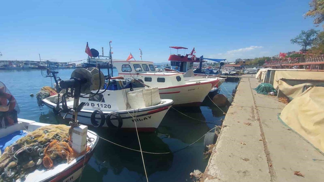 Av yasağı kalkıyor: Palamuttan haber yok