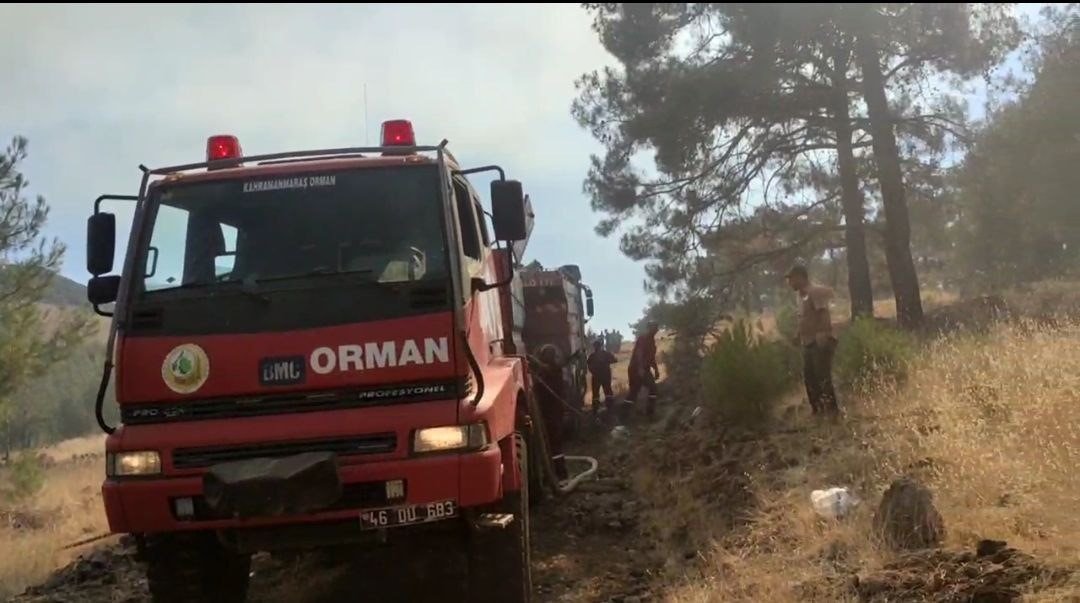 Yangına müdahale ederken dumandan etkilenen orman memuru kurtarılamadı