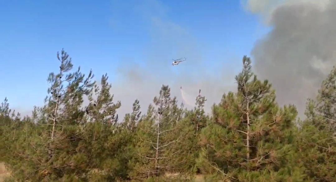 Yangına müdahale ederken dumandan etkilenen orman memuru kurtarılamadı