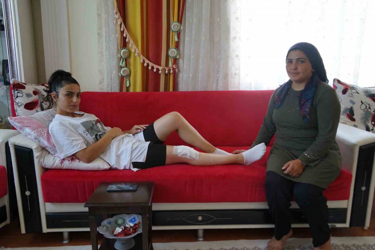 Köpeklerin saldırdığı genç kadın ölümden döndü: O onları gözyaşlarıyla anlattı