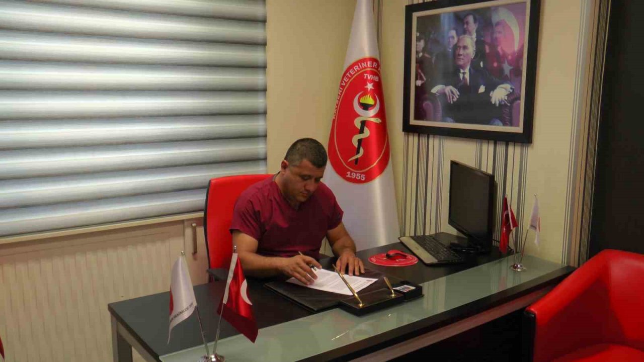 Sarıhummada çözüm aşı