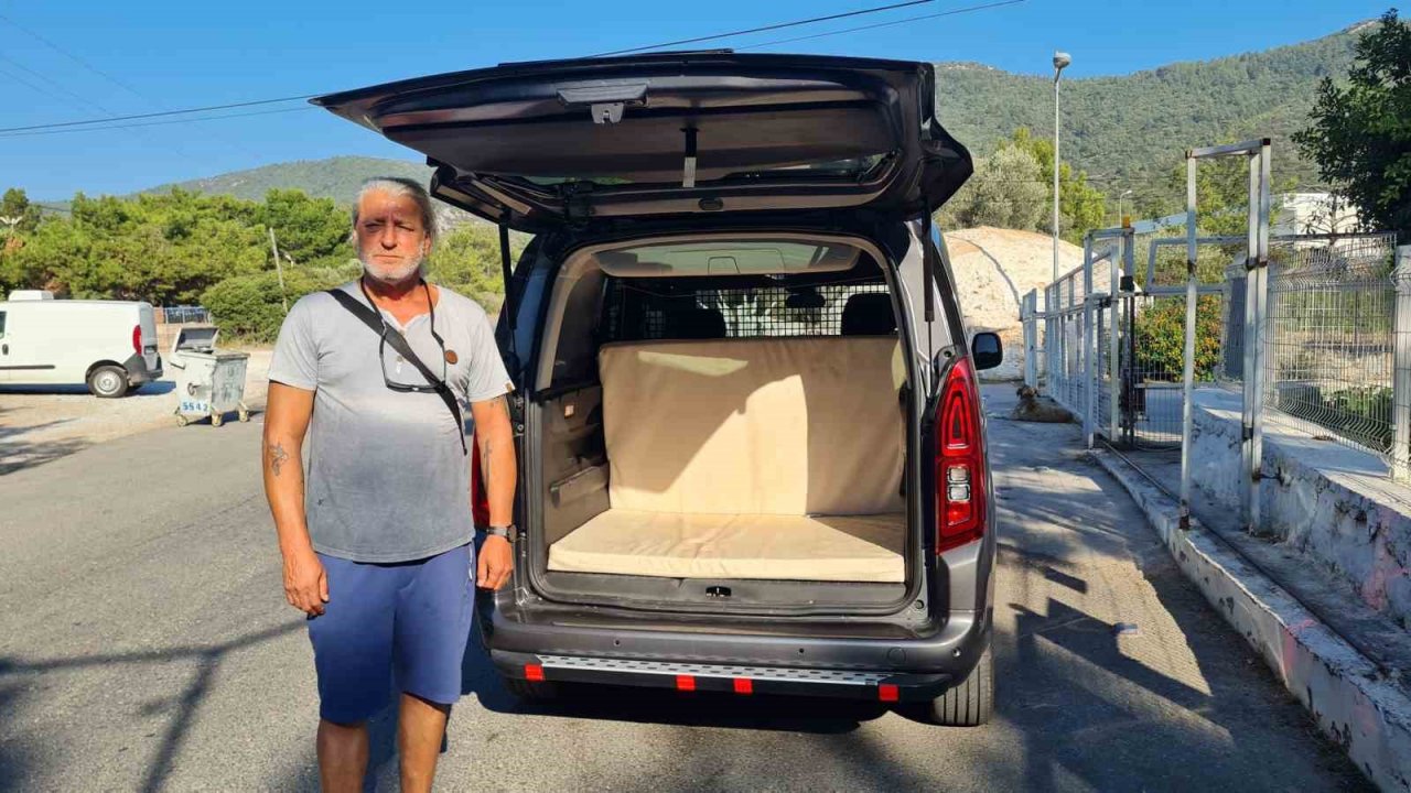 Kedi camı kafasıyla kırıp kaçtı