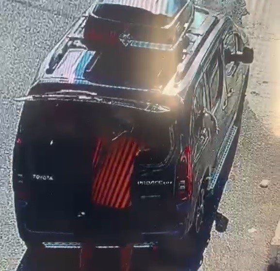 Kedi camı kafasıyla kırıp kaçtı