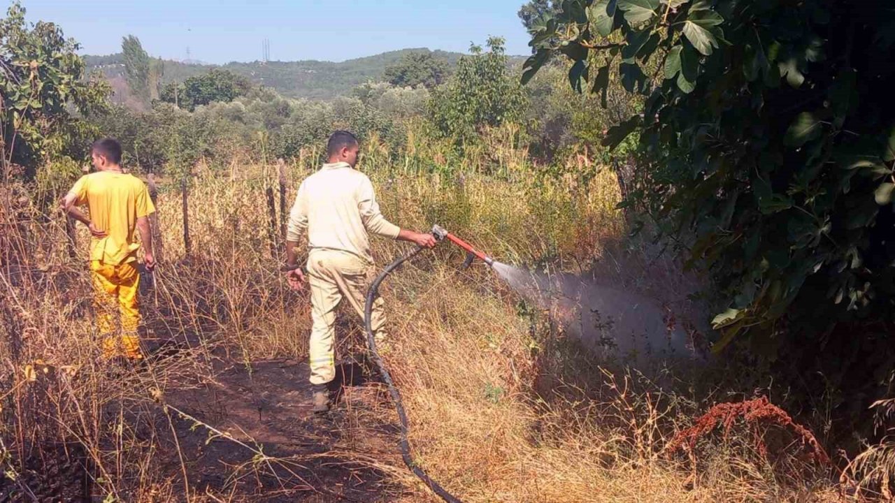 Menteşe’de arazi yangını büyümeden söndürüldü