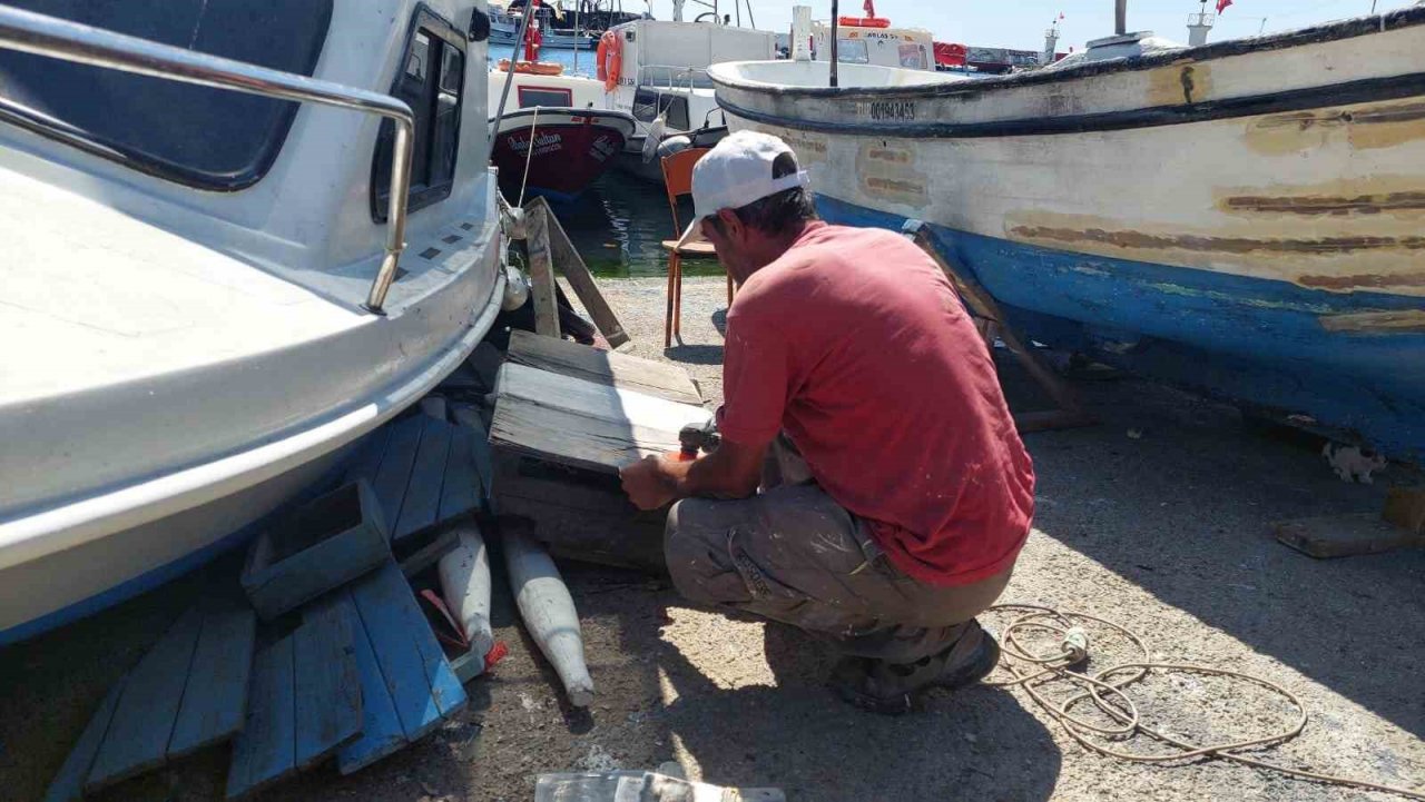 Av yasağı kalkıyor: Palamuttan haber yok