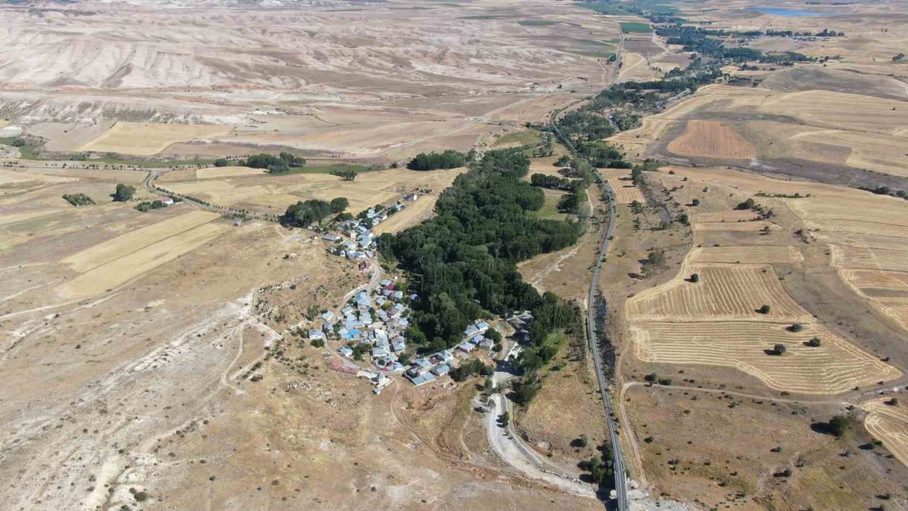 Bozkırın ortasında vaha