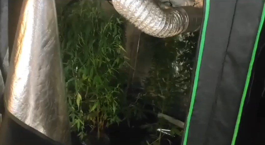 Ev değil uyuşturucu fabrikası