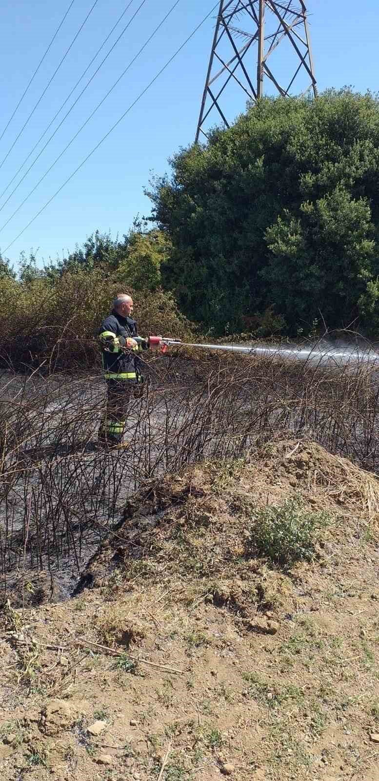 Yalova’da arazi yangını