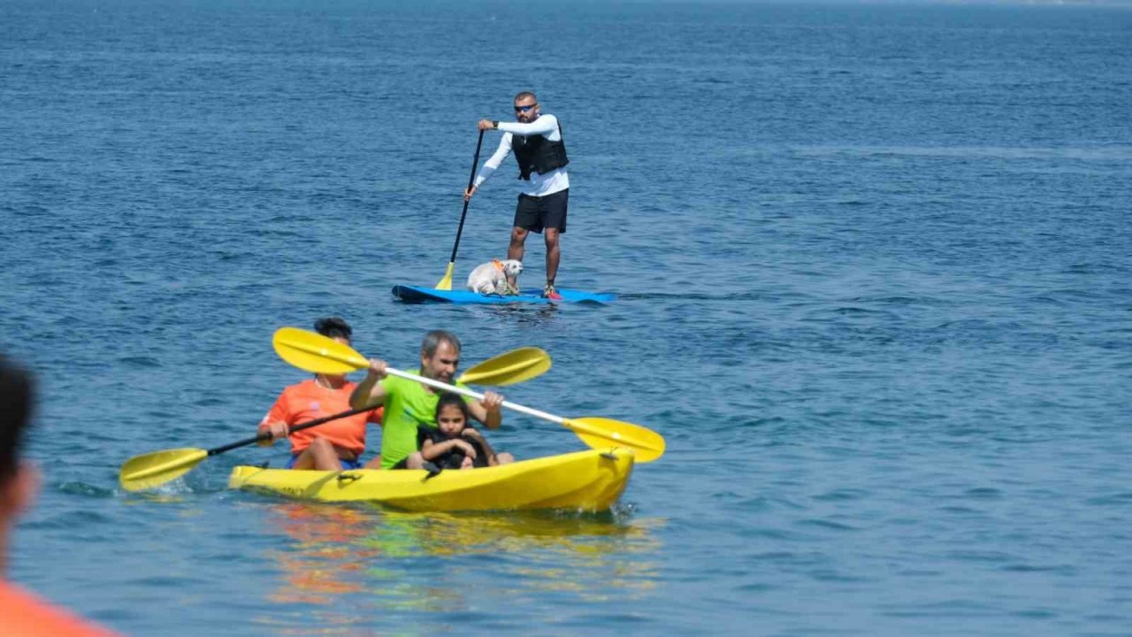 Bu festivalde engel tanımadılar