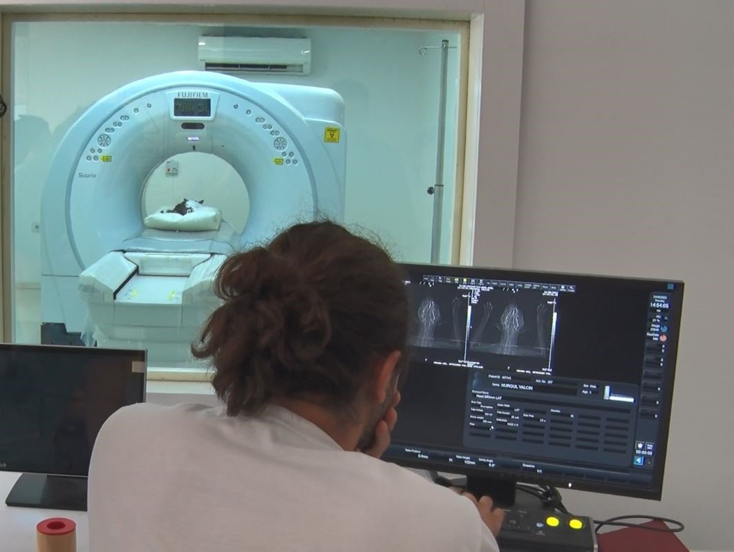 Hayvan sahiplerinin sıcak havalarda hayvanlarının patisini kontrol etmesi gerekiyor