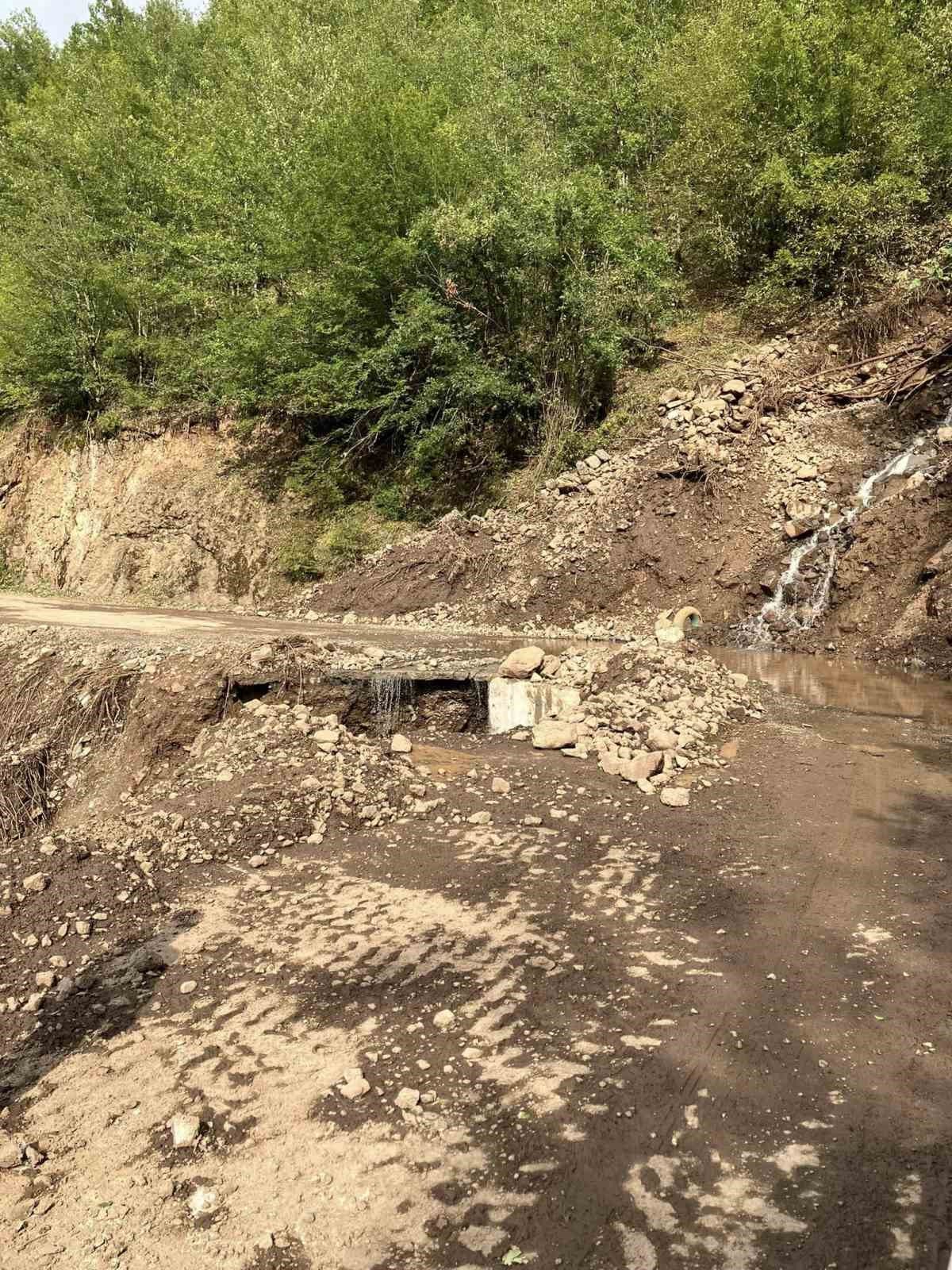 Artvin’de etkili olan sağanak yağış sonrası Hatila Vadisi Milli Parkı’na ulaşım sağlanamıyor