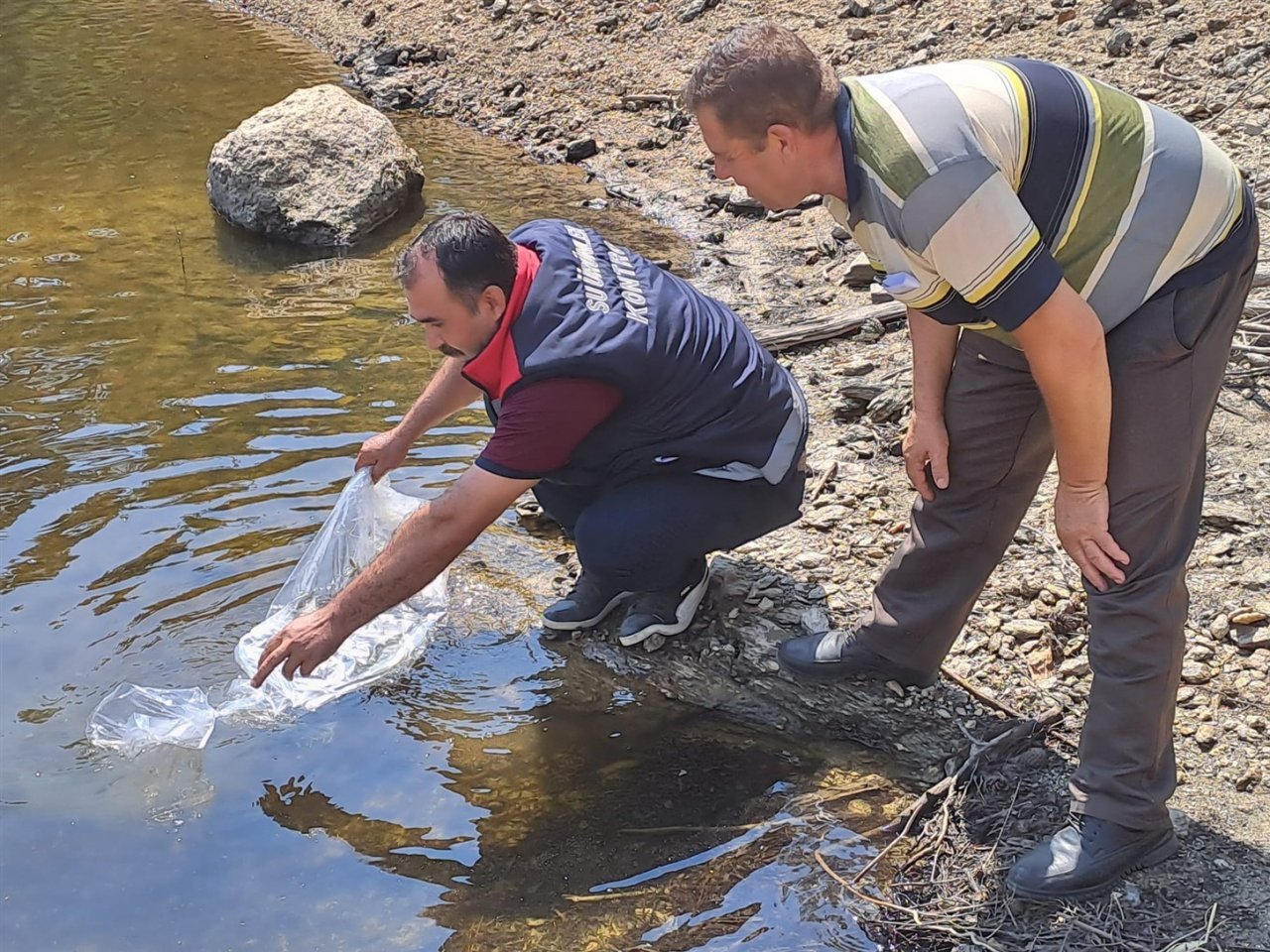 Aydın’da 934 bin sazan suyla buluştu