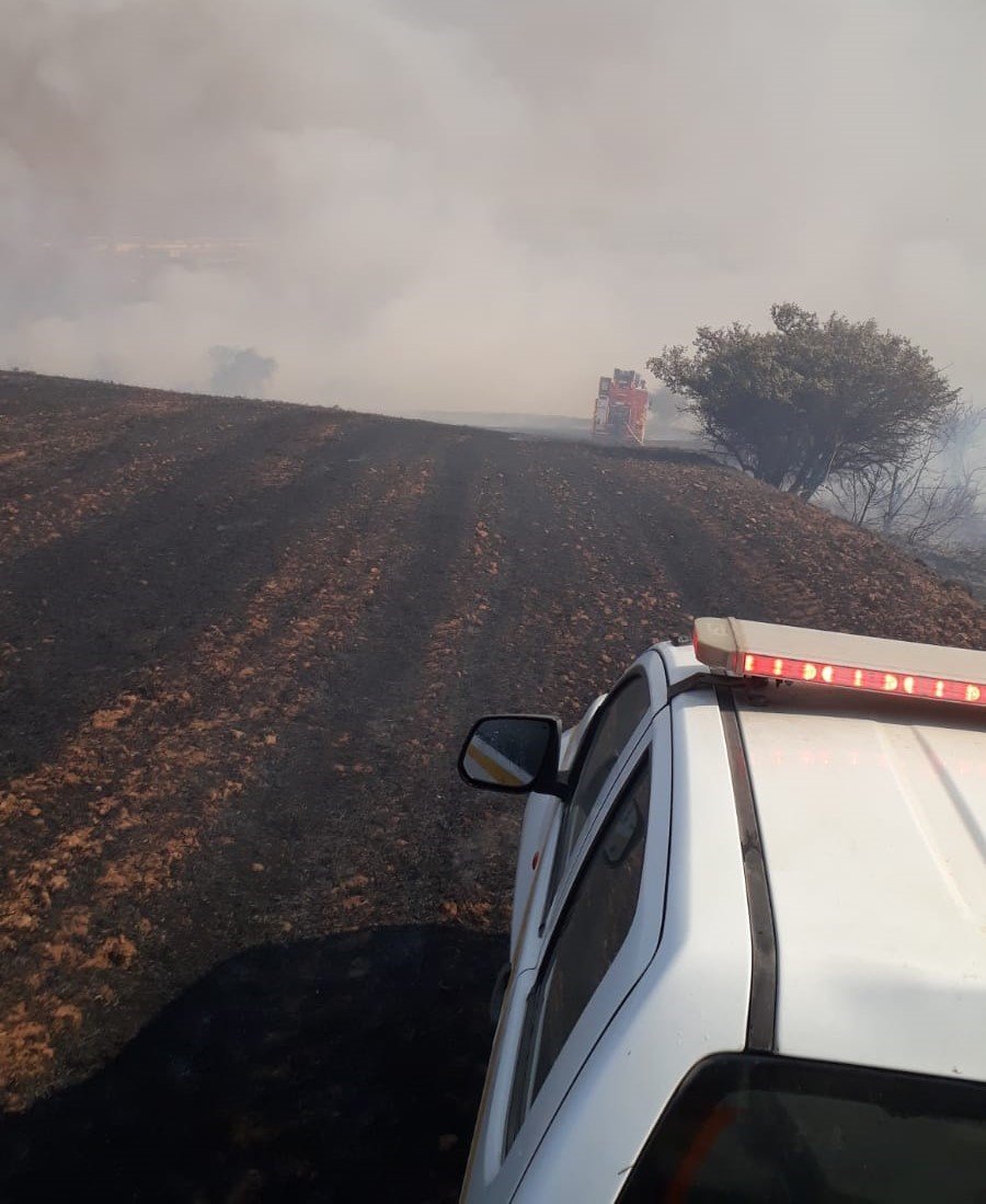 Bandırma’da arazi yangını 4 saatte söndürüldü
